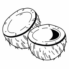 coconut    icon
