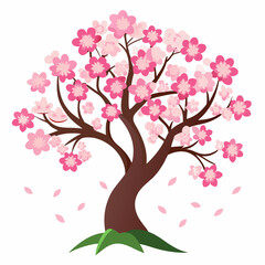 Fototapeta premium cherry blossom tree