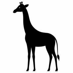 Elegant giraffe silhouette standing tall against a white background in minimalist style