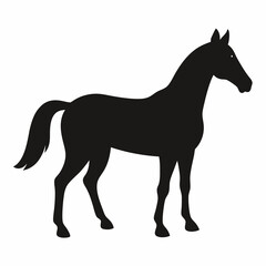 Elegant Horse Silhouette Standing Profile Isolated on White Background Illustration