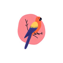 Vibrant Parrot Illustration: Colorful Bird on Pink Background