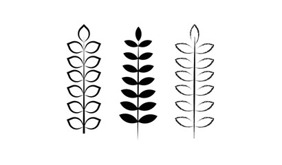 vector illustration of a branch of plant
