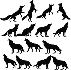 Mysterious Fox Silhouette in the Twilight Forest