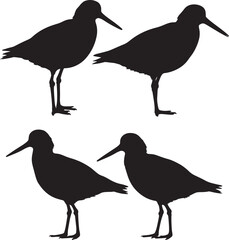 Oystercatcher bird flying silhouette vector illustration