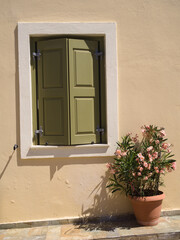 Soft cream wall with olive green shutters and a small pink oleander blooming in a decorative flower...