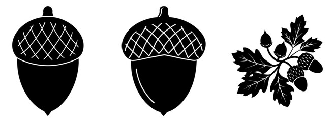 Detailed black and white acorn drawing with leaves and nut illustration silhouette © stockpoint