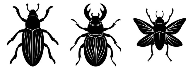 Vector drawing of black beetles insect collection entomology clip art design silhouette
