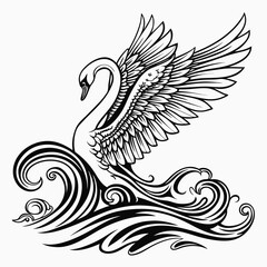 black and white swan