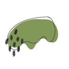 Aesthetic green sage blobs