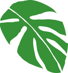 Bold green monstera leaf in matisse style