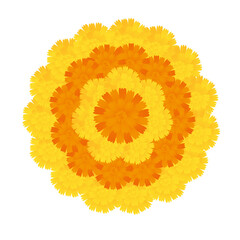 onam floral decoration or pookalam isolated on transparent background