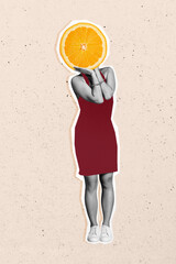 Trend artwork banner 3D photo collage of silhouette young woman slim figure attractive dress posing...