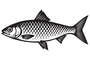 Fototapeta premium Detailed black fish silhouette drawing with sharp fins and scales for a clean look