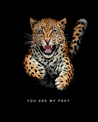 you are my prey slogan with leopard pouncing forward vector illustration on black background