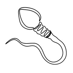 Sperm cell in one line art drawing 