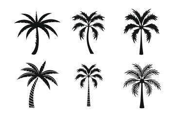Palm Tree Vector Silhouette Set for Tropical Vacation Design