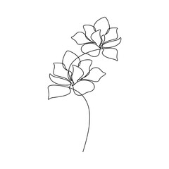 Hand drawn flower vector. Linear icon. Line continuous drawing. Floral design, botanical print, card, wall art poster, logo, sign, doodle, symbol. Abstract cartoon plant illustration