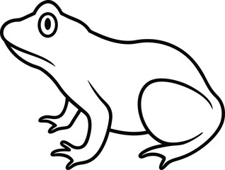 vector illustration of a Frog