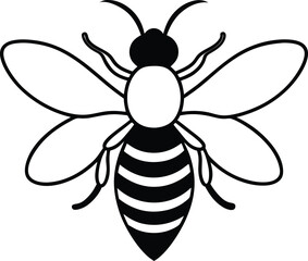 vector illustration of a bee