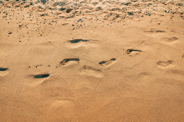 Human footstep in wet beach sand in summer, holiday and vacation by the sea background