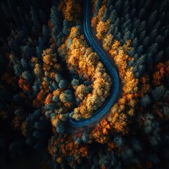 Serene Autumn Road Curving Through Vibrant Forest Landscape
