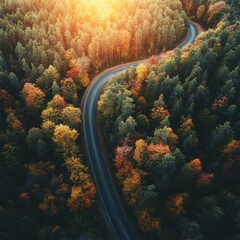Serene Aerial View of Winding Road through Vibrant Autumn Forest