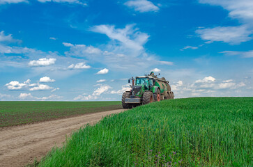 Obraz premium Low angle view through green wheat on tractor driving on country road in spring field. Dramatic sky in the background.