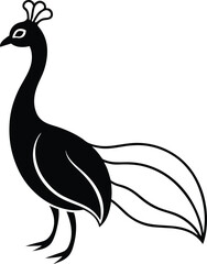 vector illustration of a peacock