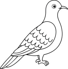 Premium quality Passenger pigeon vector illustration design, Vector of  Passenger pigeon, Modern line art vector art of Passenger pigeon