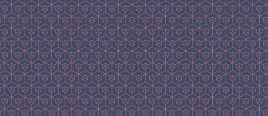 Elegant geometric pattern featuring a repeating hexagonal design in muted blue and coral tones.  Perfect for textile prints, website backgrounds, or sophisticated branding.