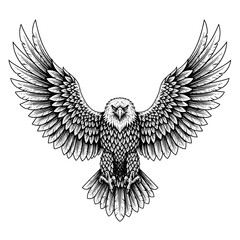 Obraz premium A detailed illustration of a majestic eagle with outstretched wings, ready to soar.