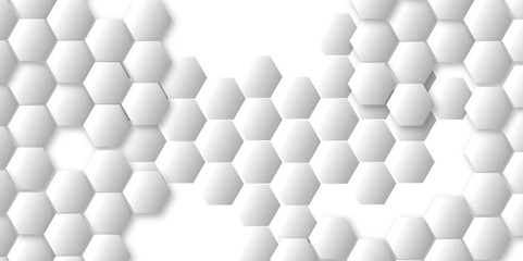 Geometric technology white and grey hexagon background. Abstract vector illustration Science technology and medical concept hexagon on white background.