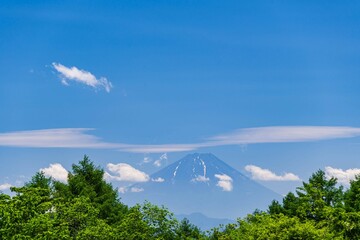 まきば公園から望む富士山