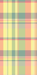 Pastel plaid pattern, perfect for textile design, springsummer fashion, or website backgrounds.  Soft, muted colors create a calming and cheerful mood.