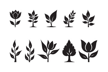 Minimal Botanical Plant Icon Silhouettes Vector Set