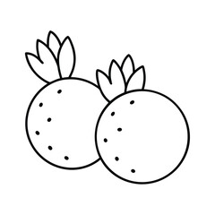 Cheese Balls with Herbs in Line Drawing Vector illustration