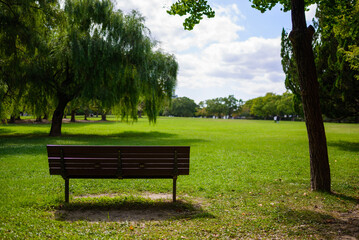公園のベンチと芝生