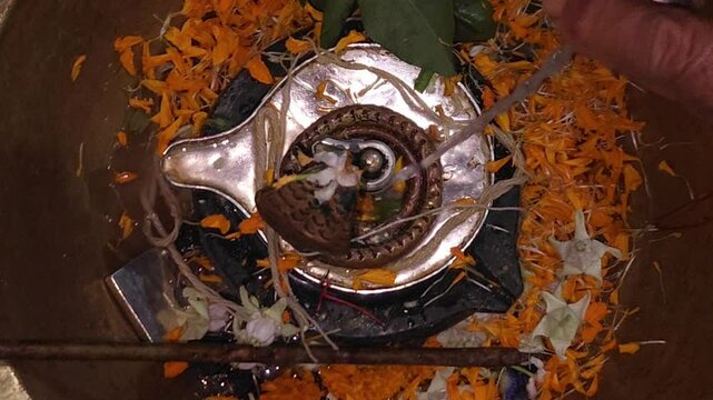Sacred Offering Lord Shiva Shivling Adorned with Flowers and Ritual.