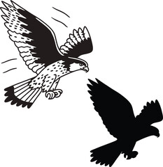 Wild Falcon Bird Vector Illustration
