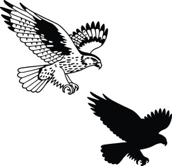 Falcon Diving Pose Vector Illustration
