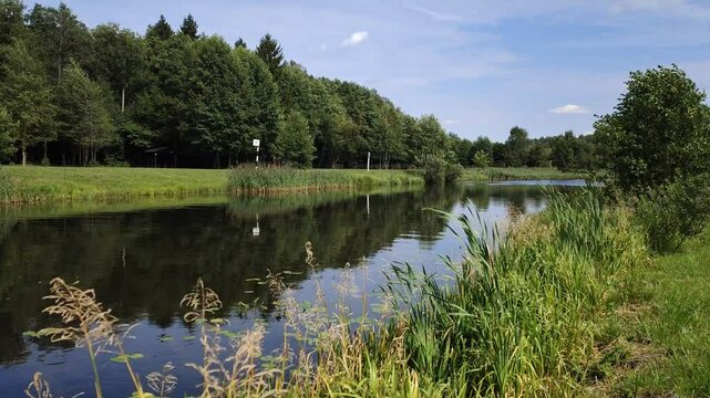 Grass grows on the river bank, and reeds in the water. On the opposite bank there is a mixed forest, gazebos and a sign of the shipping channel On the water there is a reflection of trees and blue sky