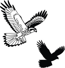 Peregrine Falcon Silhouette Vector Illustration
