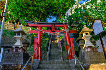  朝日が差し込む熊野神社の赤い鳥居と参道　神奈川県横須賀