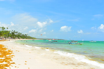 El Cortecito, Punta Cana, Dominican Republic- June 12, 2025: People walking along the coastline and sunbathing on one of the best beach in Caribbean area. Lots  of seaweed, specifically Sargassum.