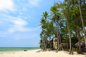 El Cortecito, Punta Cana, Dominican Republic- June 12, 2025: People walking along the coastline and sunbathing on one of the best beach in Caribbean area. Lots  of seaweed, specifically Sargassum.