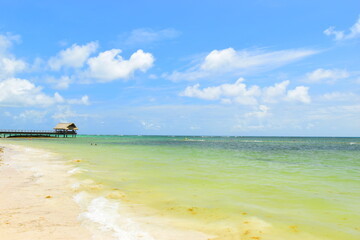 El Cortecito, Punta Cana, Dominican Republic- June 12, 2025: People walking along the coastline and sunbathing on one of the best beach in Caribbean area. Lots  of seaweed, specifically Sargassum.