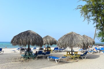 El Cortecito, Punta Cana, Dominican Republic- June 12, 2025: People walking along the coastline and sunbathing on one of the best beach in Caribbean area. Lots  of seaweed, specifically Sargassum.
