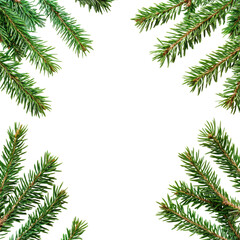 Holiday Evergreen Pine Branches Border, festive border made of evergreen pine branches, isolated on transparent background