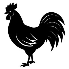 rooster isolated on white