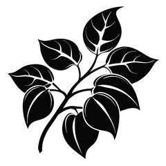 Black and White Branch with Elongated Leaves Silhouette Botanical Design Element